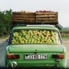 Transporte 09.jpg